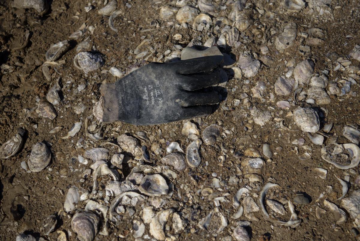 Oyster harvesters hit hard as Texas closes reefs for conservation and public health